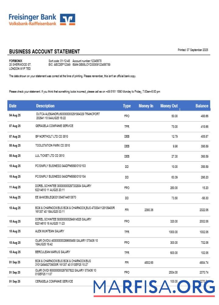 Realistic Freisinger Bank account business statement Word and PDF format example